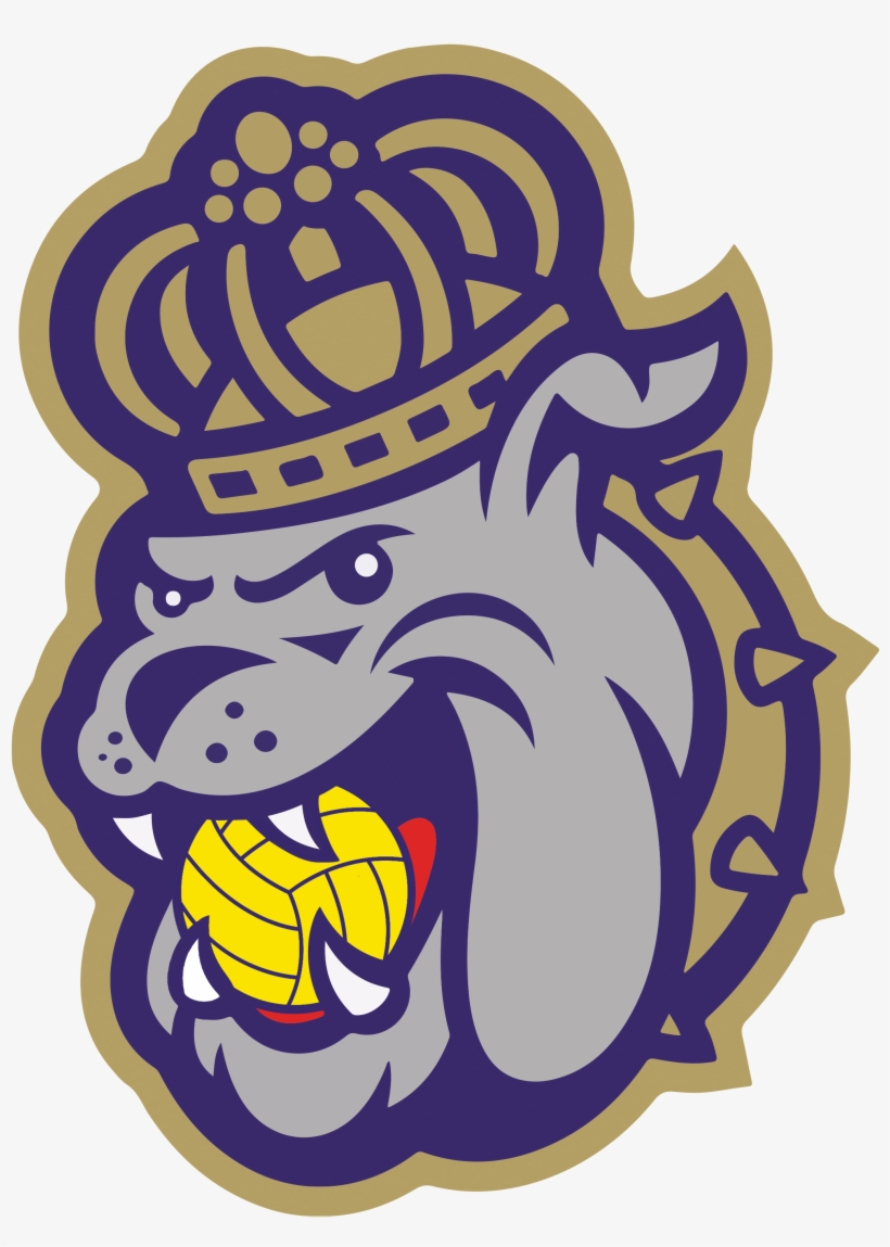 Jmu 2nd Annual Spikedown Tournament - Jmu Logo Transparent Png, transparent png