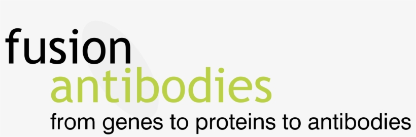 Fusion Antibodies Logo Png Transparent - Parallel, transparent png