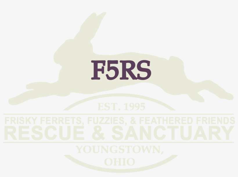 Frisky Ferrets, Fuzzies And Feathered Friends Rescue - F5rs, transparent png