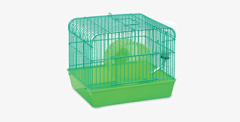 Bird Cage Feeders Petsmart Elegant Petsmart Group Sdn - Cage, transparent png