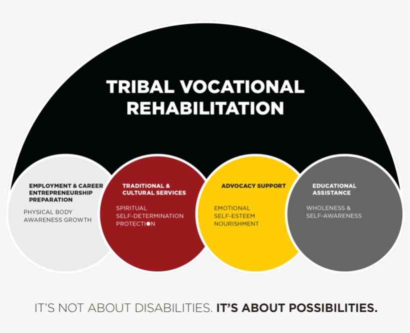 The Tvr Program Is The Result Of A Federal Law, The - Vocational Rehabilitation Disabled People, transparent png