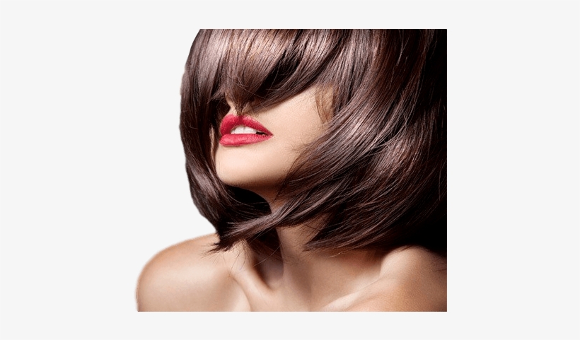 Organic Hair Products Breath Life Into Your Hair, And - Girls Hair Cut Model, transparent png