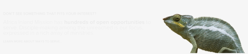 Don't See Something That Fits Your Interest Africa - Monochrome, transparent png