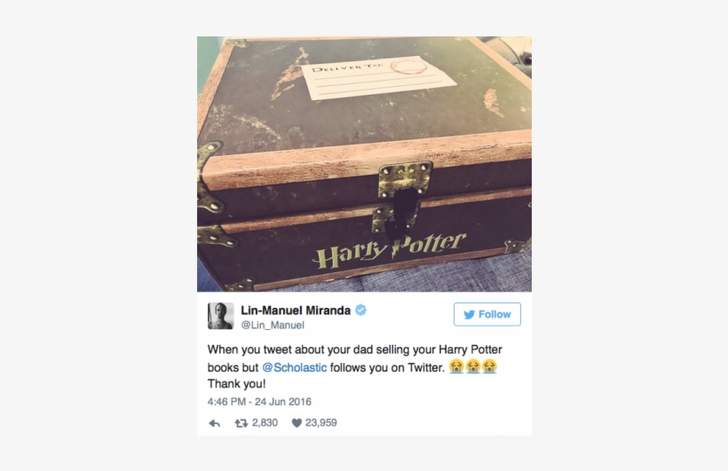 Hamilton Star Loves Harry Potter - Harry Potter Trunk, transparent png