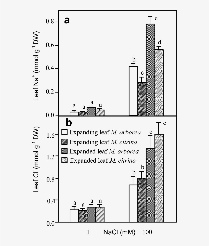 Leaf Na And Leaf Cl À (b) Of Individual Expanding And - Leaf, transparent png