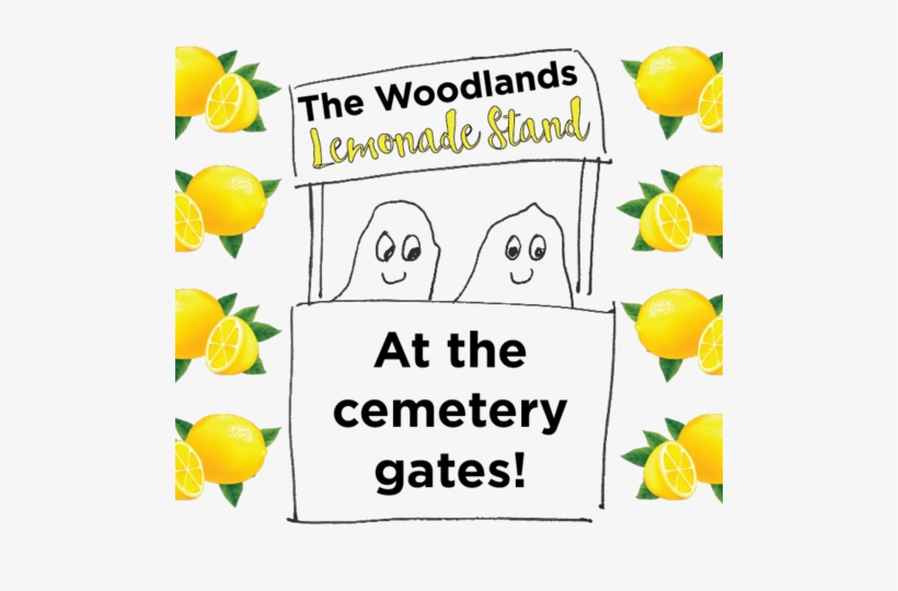 Woodlands Lemonade - Complete Idiot's Guide To Book Proposals, transparent png