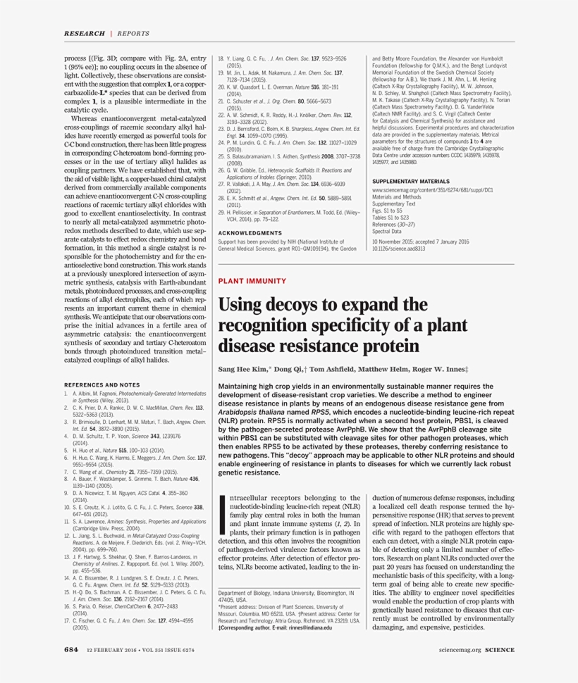 Letterhead Templates, transparent png