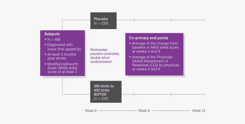 Study 6 Design1 - Safety And Efficacy In Clinical Trials For Botox In, transparent png