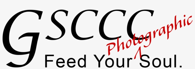 Gsccc 18 Logo - Schloß Gripsholm. Eine Sommergeschichte [book], transparent png