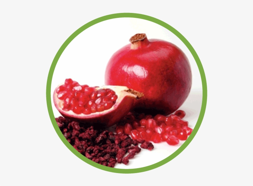 Pomegranate, transparent png
