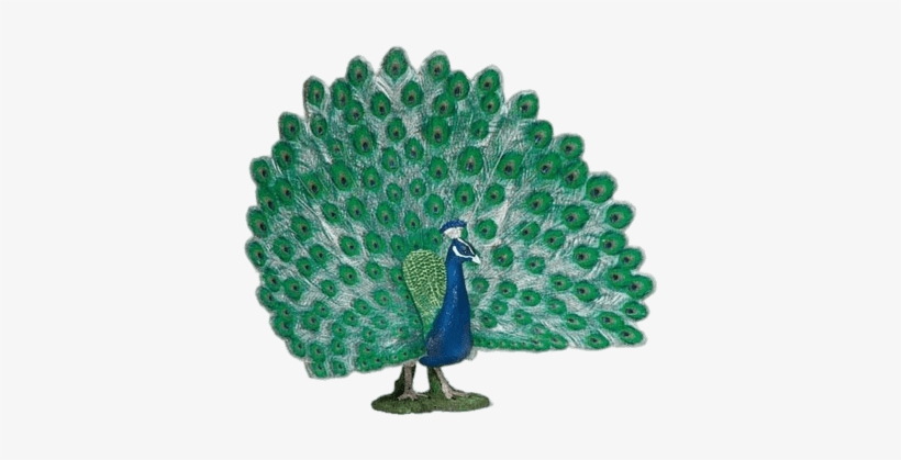 Peacock With Open Tail Figurine - Schleich Peacock, transparent png