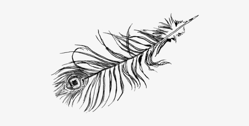 Sketch, transparent png