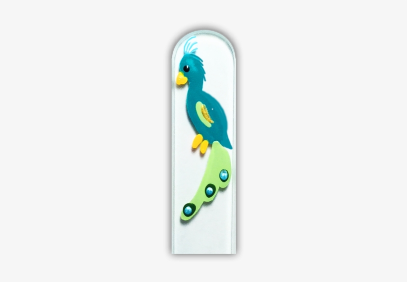 102500 Peacock - Parakeet, transparent png