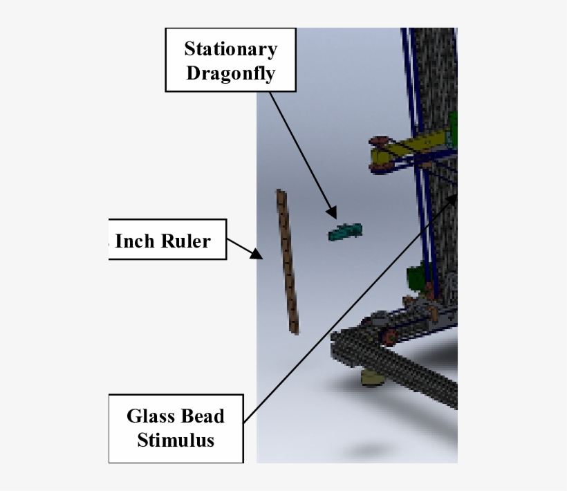 Complete Solidworks Model Of The 3d Flying Prey Simulator - Tree, transparent png