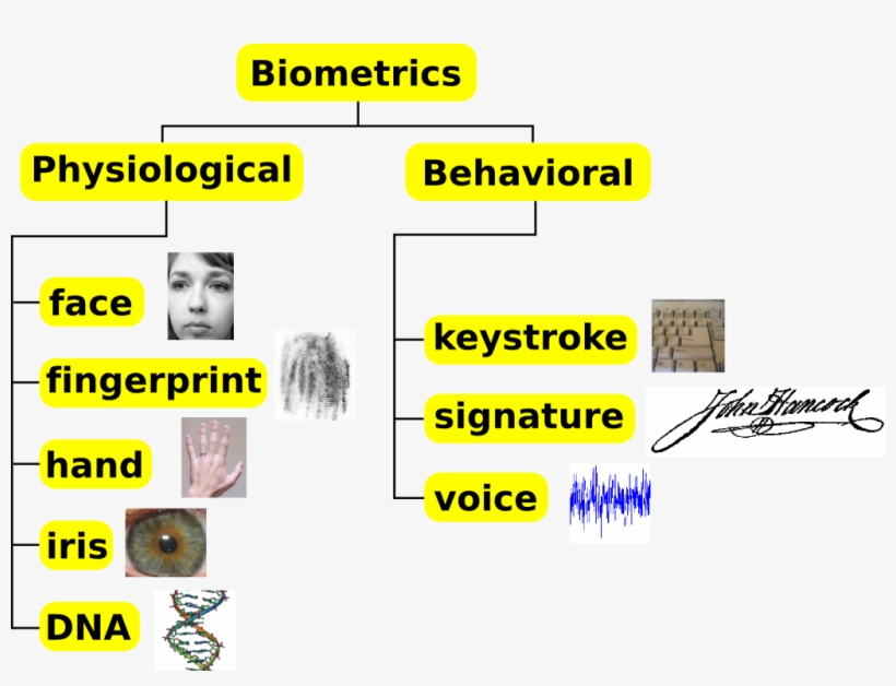 Biometrics Traits Classification - Biometric Technology, transparent png