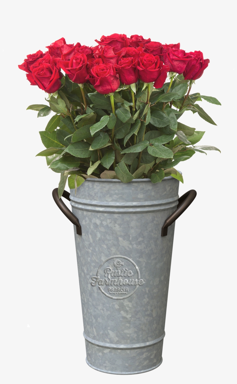 Panacea - Flower Bouquet, transparent png