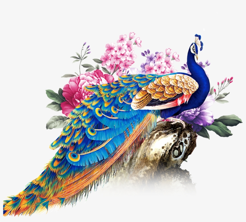 Peacock Decor, Peacock Art, Photo Booth Backdrop, Helmet, - Png Format Peacock Png, transparent png