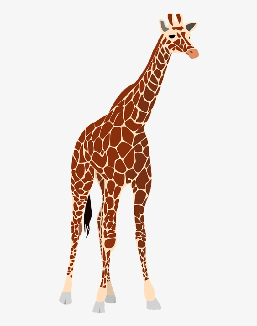 Free Png Giraffe Png Images Transparent - Realistic Giraffe Clipart, transparent png