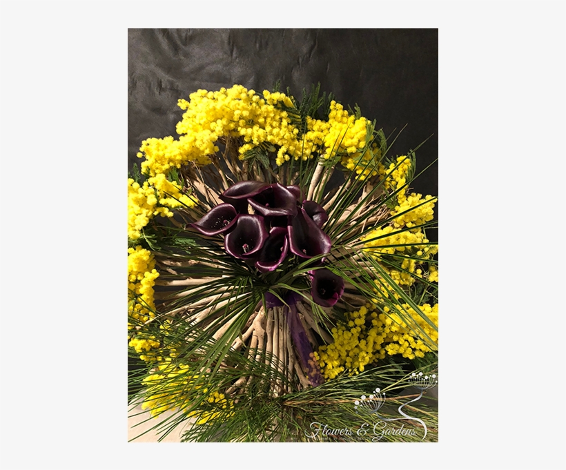 We Invite You To Take A Look At Our Creations In Order - Tickseed, transparent png