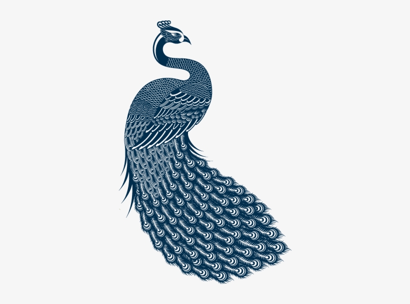 The Original Peacock's Feathers Band Was Based In South - Peacock Music, transparent png