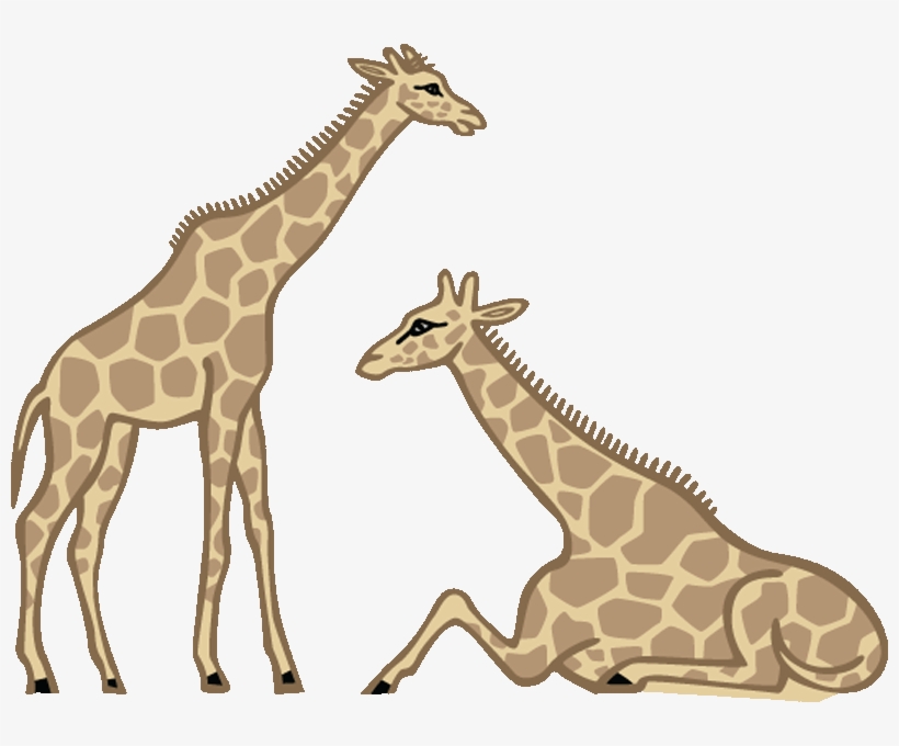 Small - Giraffe Laying Down Clipart, transparent png