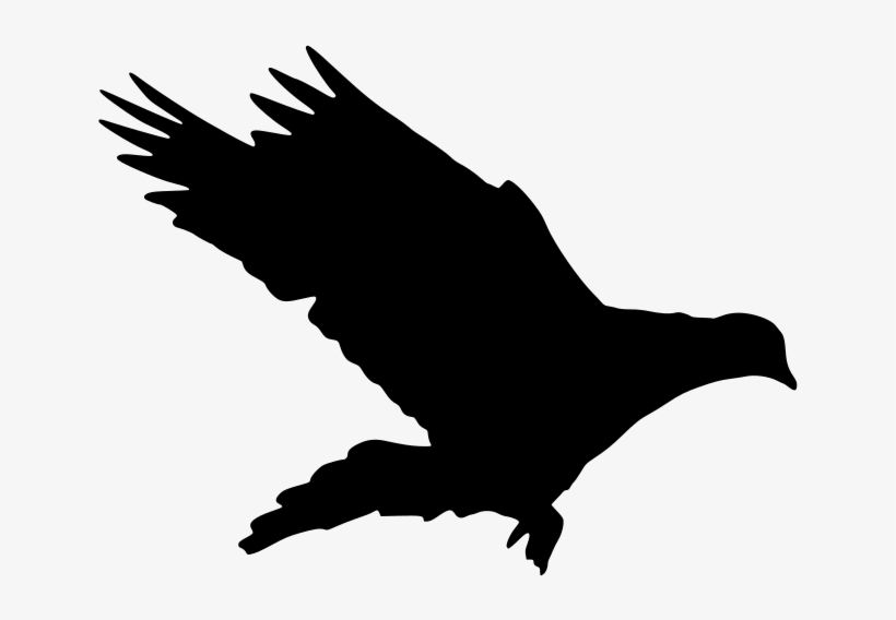 Download Png - Flight, transparent png