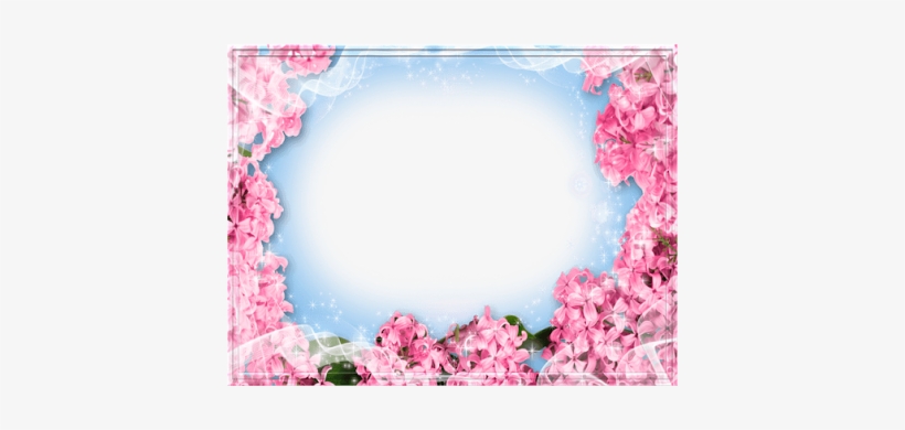 Pretty Lovely Photo Frem Lovely Flowers Photo Frames - Flower Frames Images Hd, transparent png