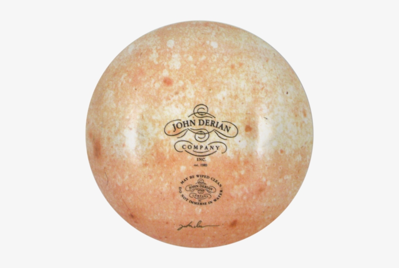 Camellia Japonica Tricolor Imbricata Plena Camellia - John Derian, transparent png