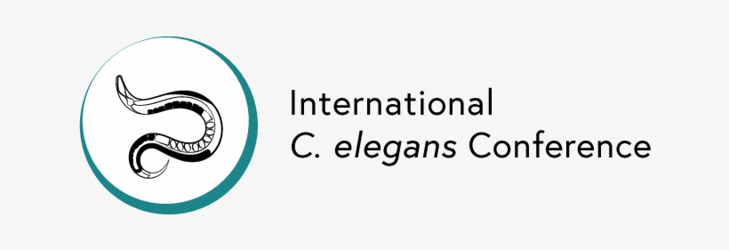 Elegans Logo - Roundworm, transparent png