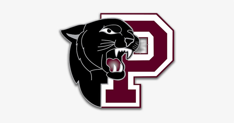 Support Princeton High School - Princeton Panthers Logo, transparent png