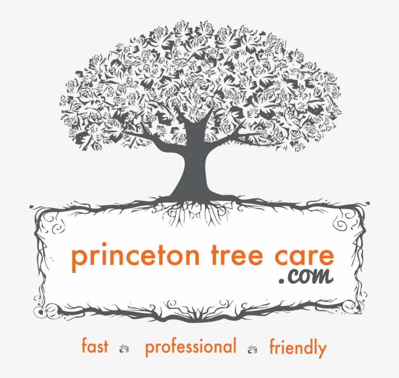 Princeton Tree Care, transparent png