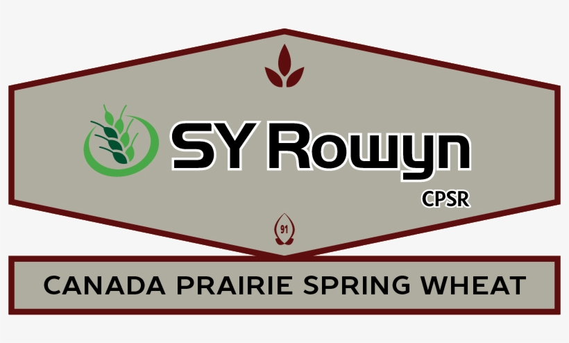 Sy Rowyn Cpsr Pbr Logo Syngenta 2017 V2 - Sign, transparent png