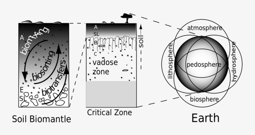 Cornell University Climate Scientist Louis Derry Talks - Pedosfera Para Dibujar, transparent png