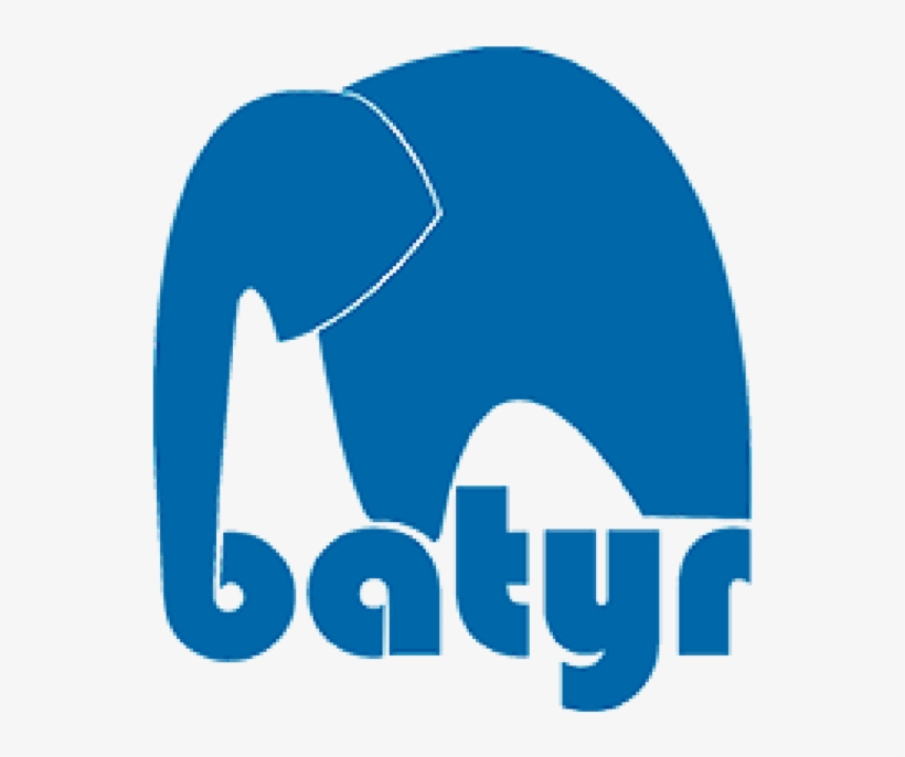 The Global Coalition On Youth Mental Health Was Made - Batyr, transparent png