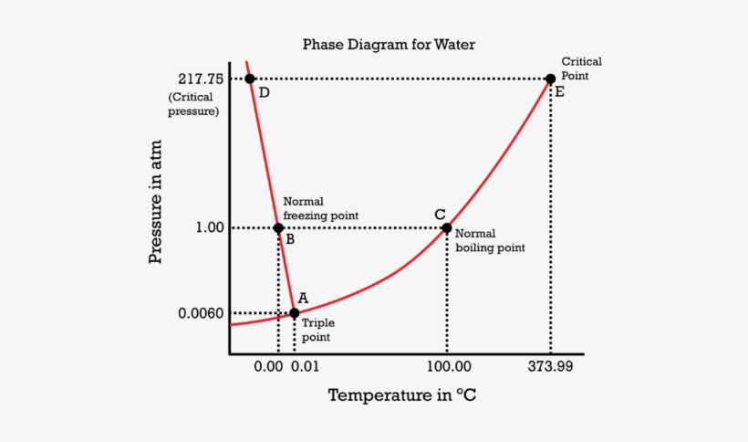 The Phase Diagram Of Water Is Special Because The Sol - Phase Diagram Of Water, transparent png