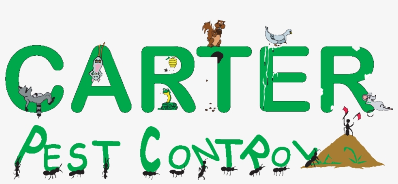 “your Pest Is Our Problem” - Carter Pest Control, transparent png
