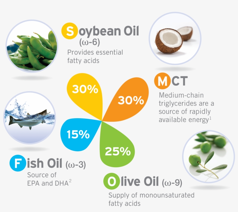 Smoflipid® Is An Advancement In U - Low Carbohydrate Diet Guide For Triathletes: Official, transparent png