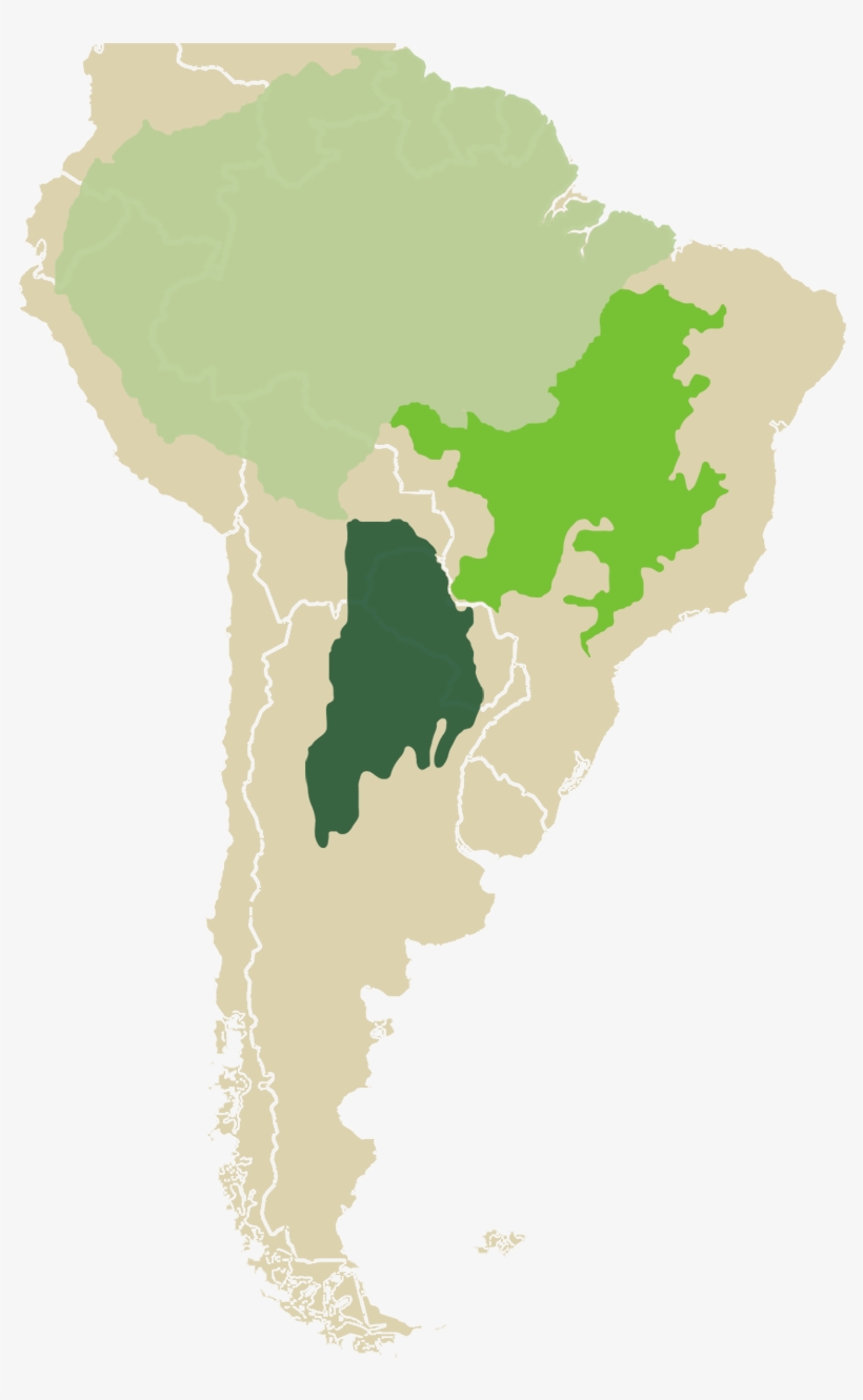 Projected Deforestation - Latin America, transparent png