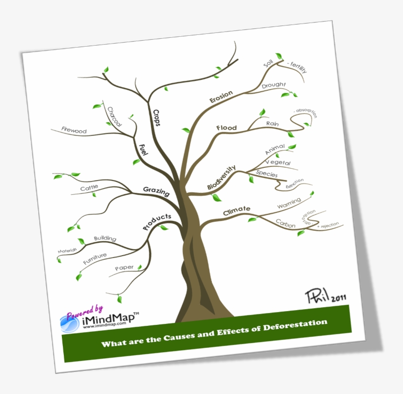 Causes And Effects Of Deforestation Or How To Make - Mind Map Of Deforestation, transparent png