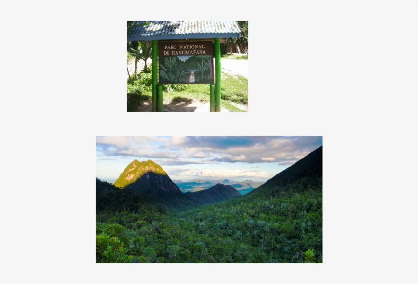 Ranomafana National Park, transparent png
