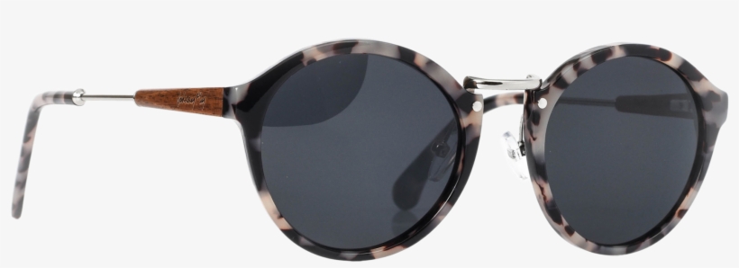 Johnny Fly Co - Johnny Fly Co. - Noda, transparent png