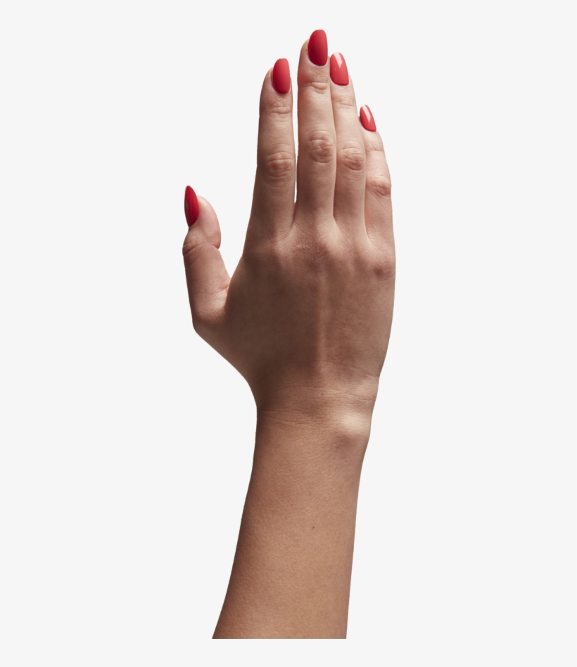 Search For - - Animal Testing, transparent png