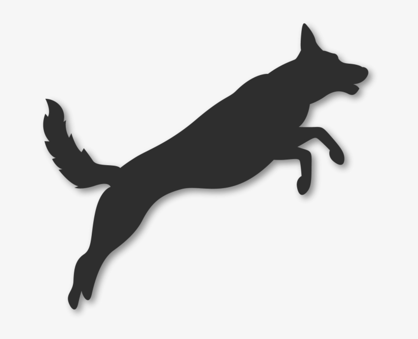 Dog Jumping - Dog, transparent png