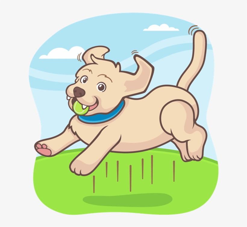 Dog Jumping And Catching A Tennis Ball - Clip Art, transparent png