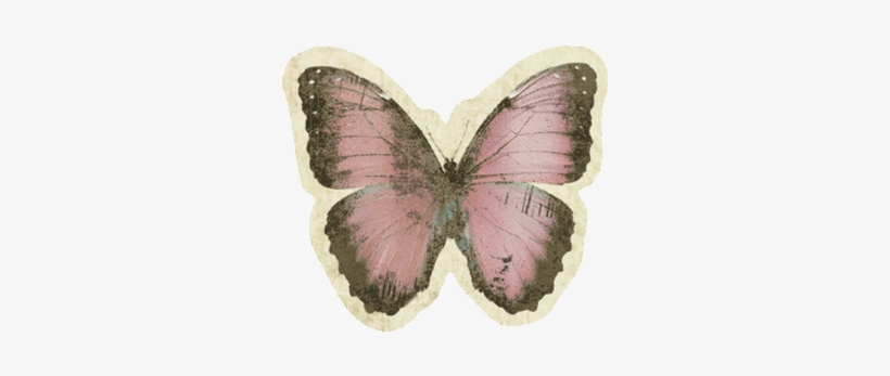 Dior Fleur Esme - Life Is Strange Chloe Butterfly, transparent png