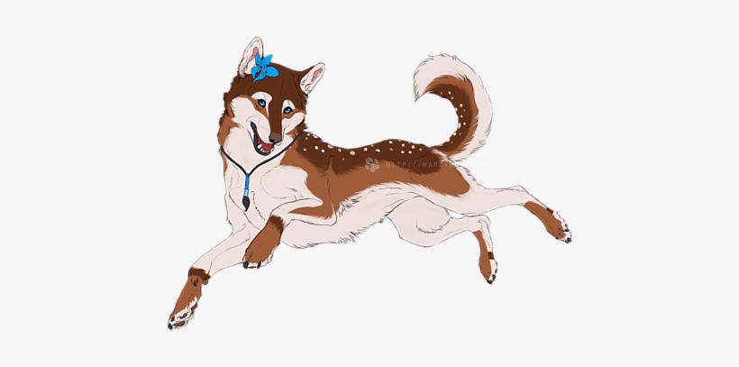 Amaterasu And Oki - Illustration, transparent png