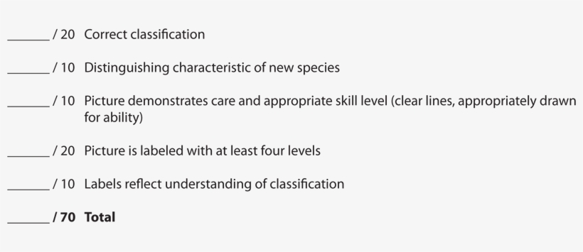 Kingdom Animalia Rubric - List Of Characteristics Describes Organisms Classified, transparent png