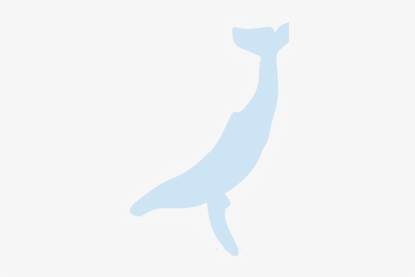 Whale Image - Illustration, transparent png