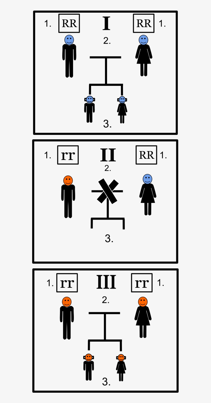 Green Beard Effect - Green-beard Effect, transparent png