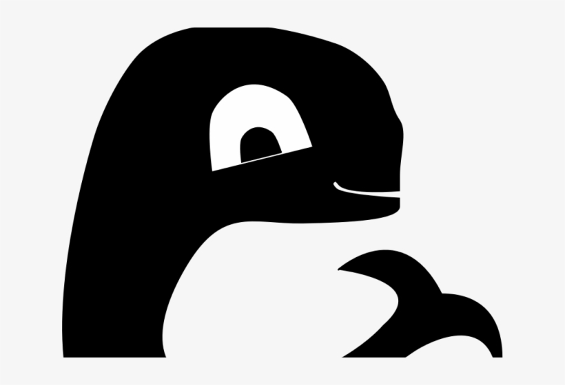 Whale Clipart Silhouette - Whales, transparent png